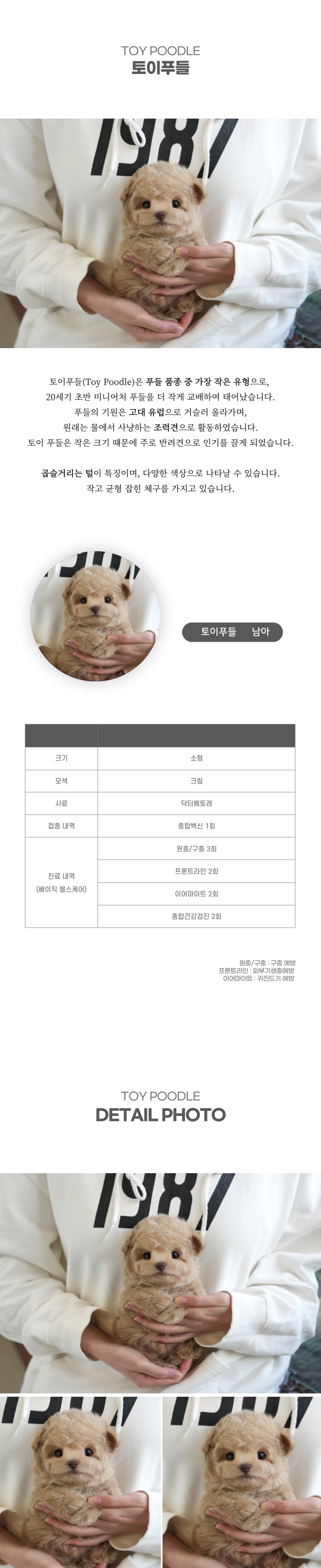 토이푸들_상세이미지_2